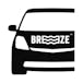 BREEZE - Hazel Park Delivery (REC)