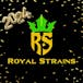 Royal Strains