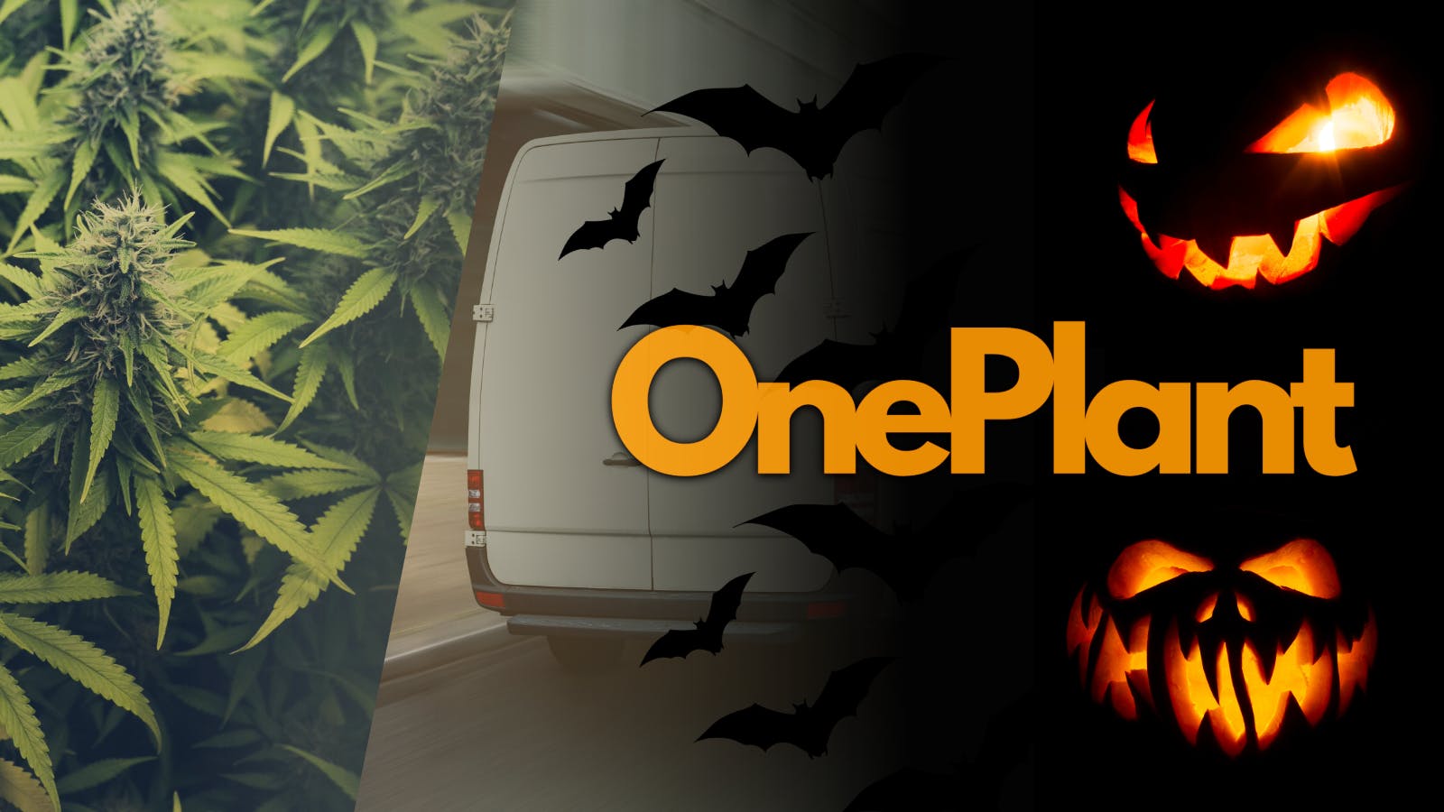 One Plant Delivery - Walnut Creek listing banner