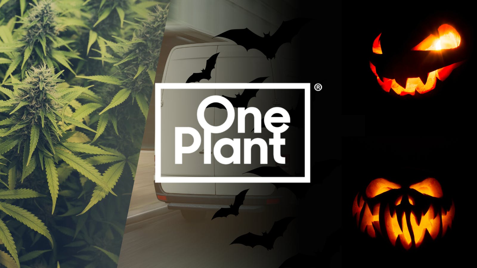 One Plant Delivery - East Bay listing banner
