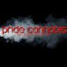 Pride Cannabis 207