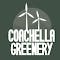 Coachella Greenery listing banner