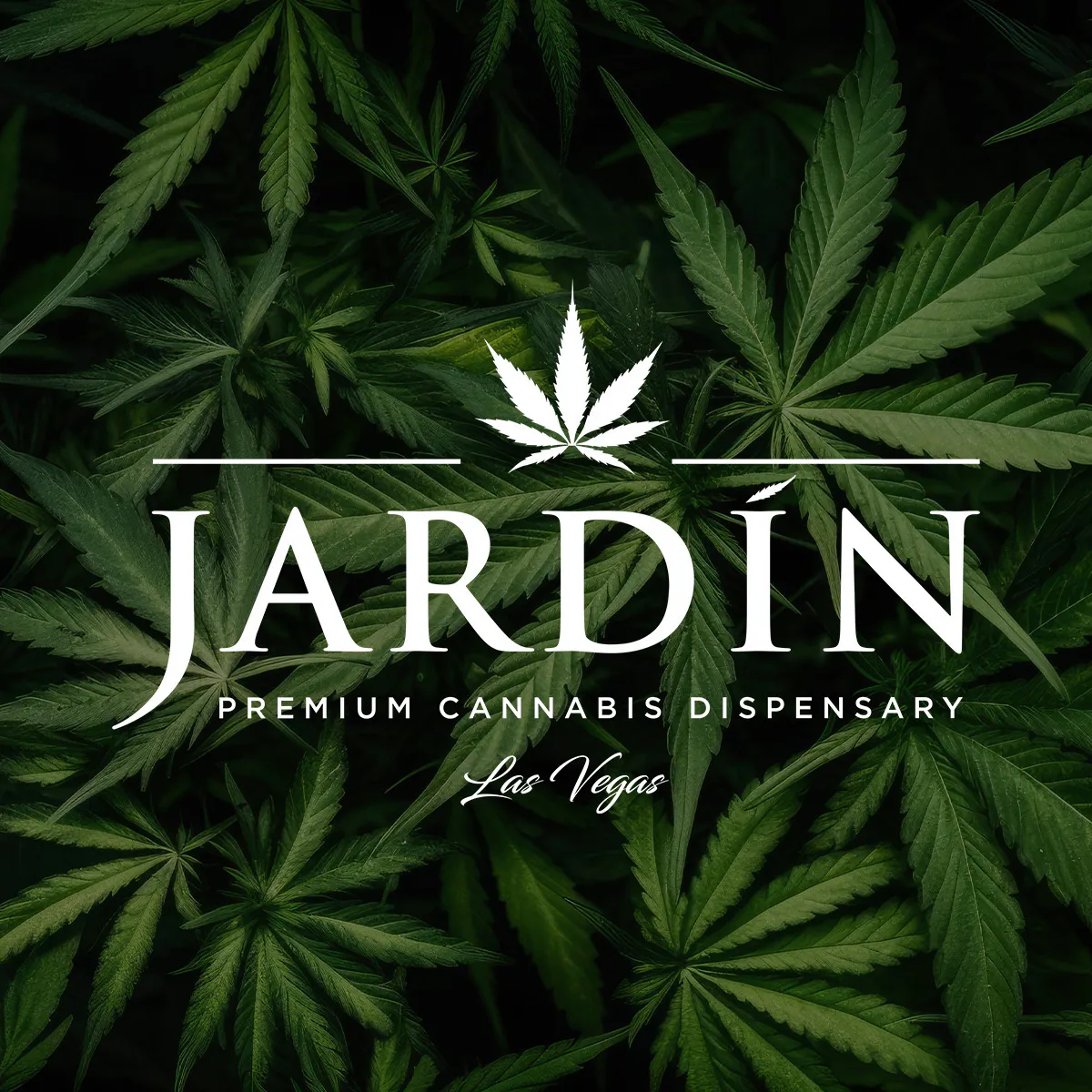 Jardin Premium Cannabis Delivery (No Delivery to Hotels & Casinos) - The Strip