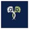 True Wellness Aberdeen Delivery