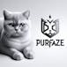 Purfaze