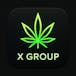 X Group
