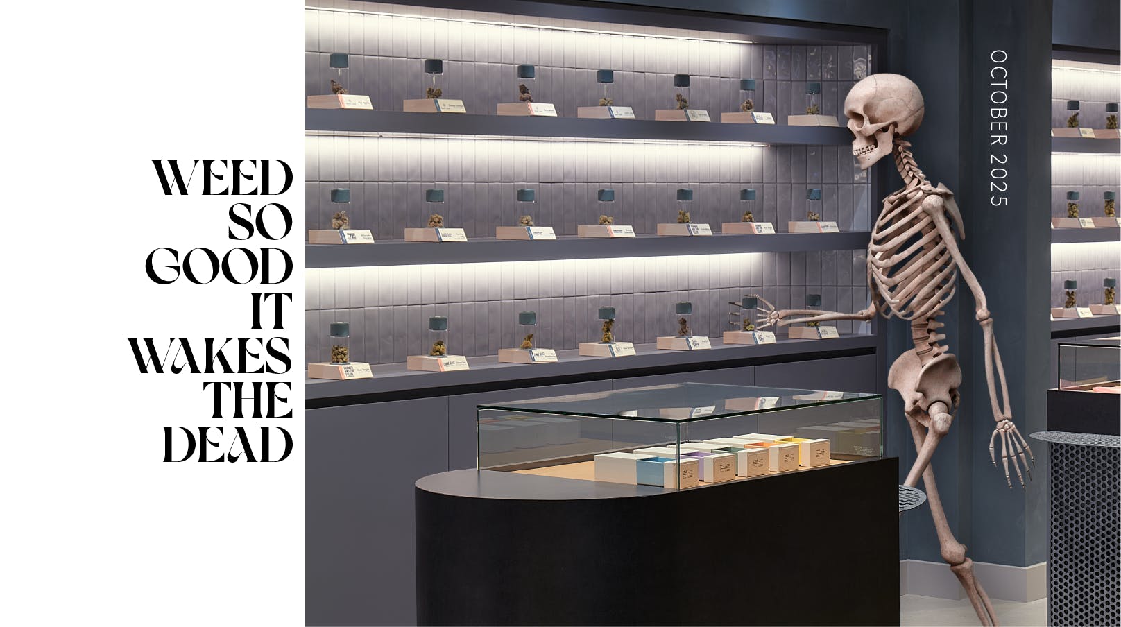 High Seas Delivery - Aliso Viejo / Laguna Niguel. listing banner