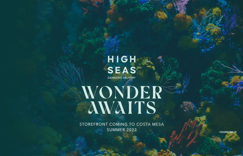 High Seas Delivery - Rancho Santa Margarita listing banner