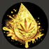 Maine Concentrates