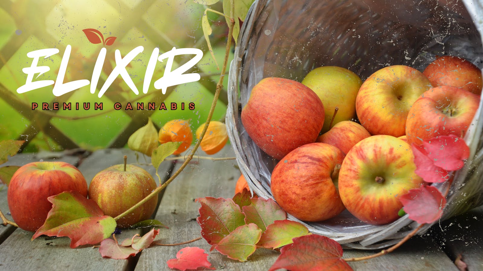 Elixir Extracts - Sanford (Pick Up Available) listing banner