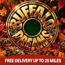Buffalo Dreams Delivery