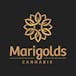 Marigolds Cannabis