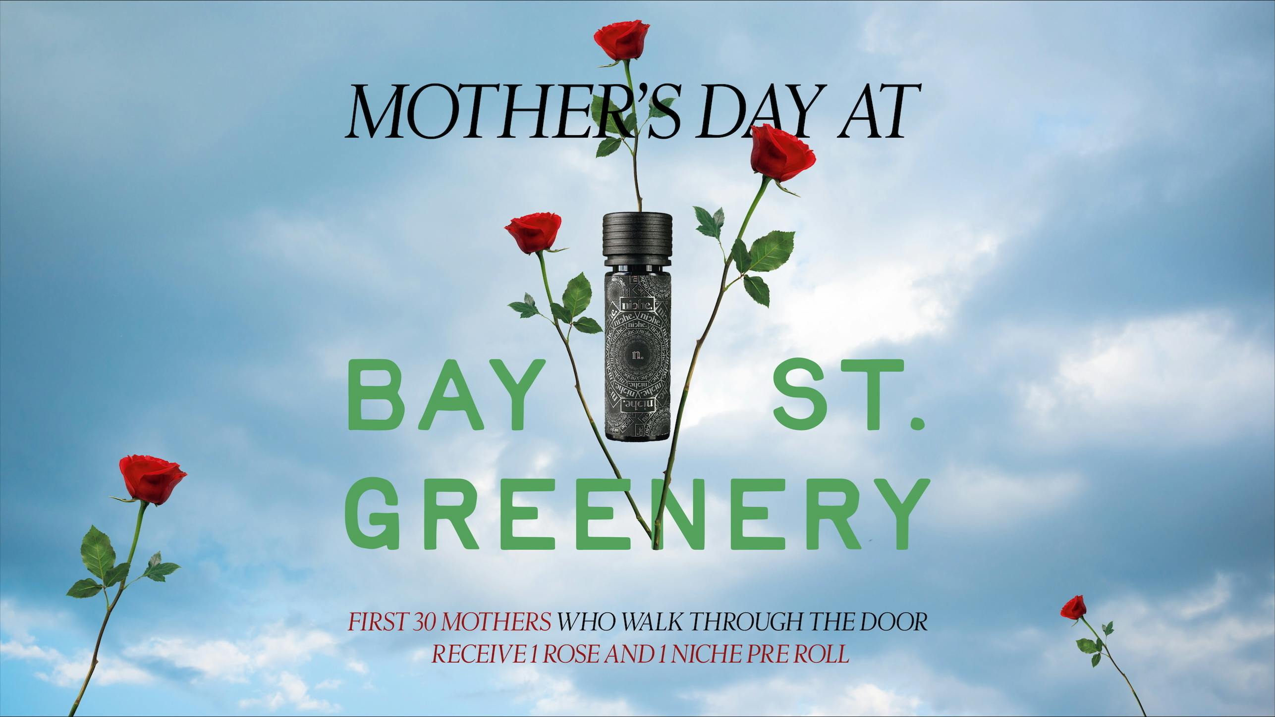 Bay Street Greenery listing banner