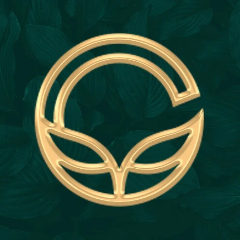 Cannavita Delivery