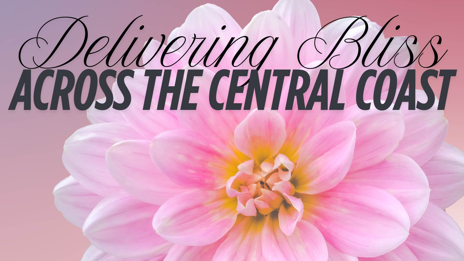 Osos Flower listing banner