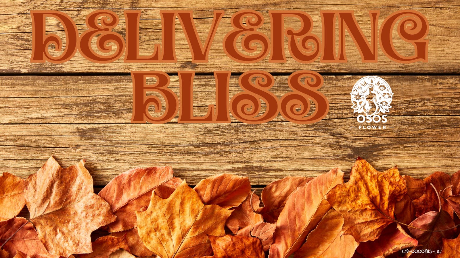 Osos Flower listing banner