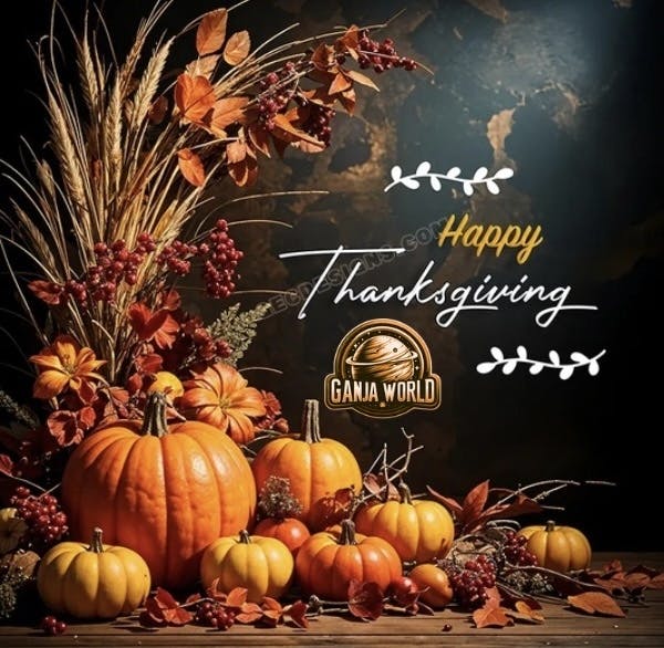 Ganja World - Bangor listing banner