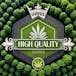 High Quality Exotics - Curbside Available