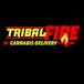 Tribal Fire Cannabis Delivery - Plymouth