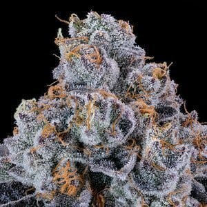 Undertow Cannabis Co - Delivery listing banner