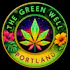 The Green Well #1 - The Windham Delivery