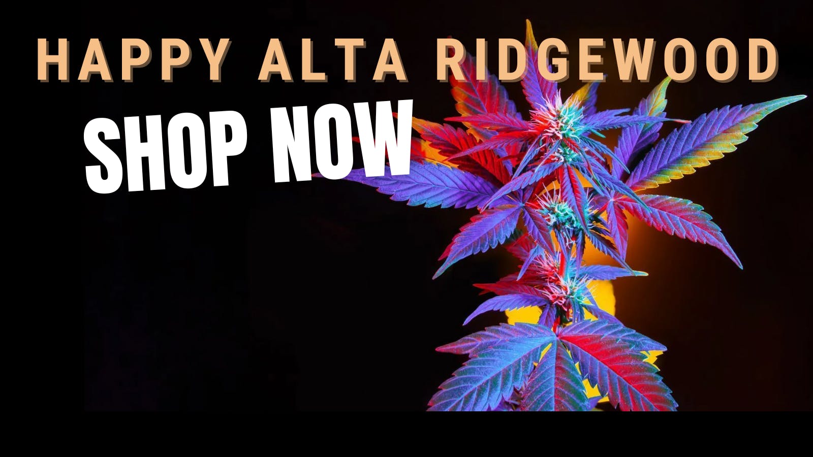 Happy Alta listing banner