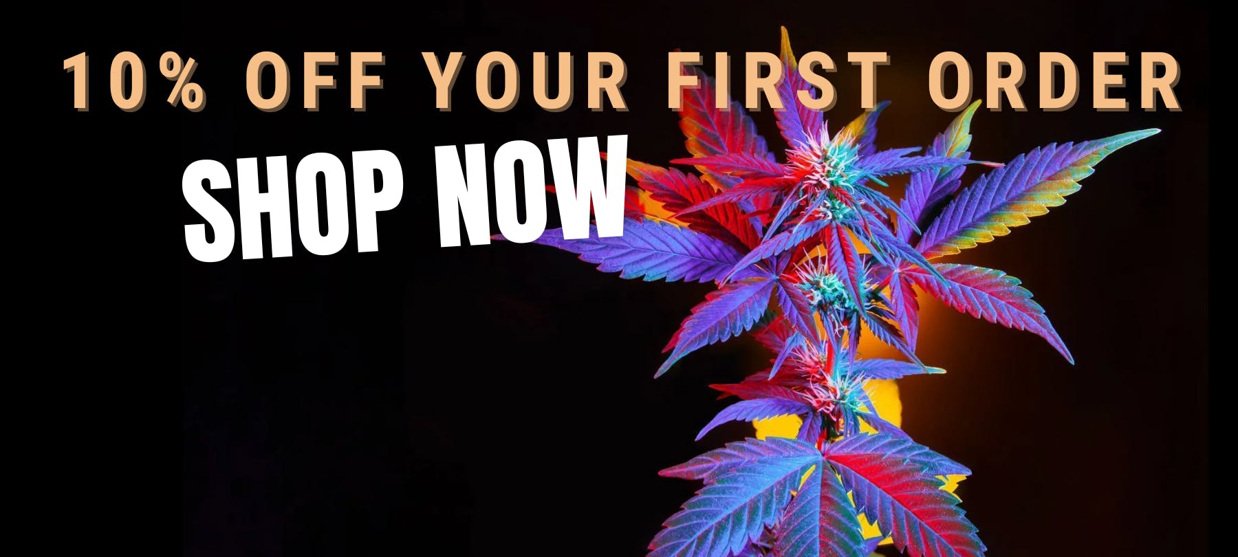 Happy Alta listing banner