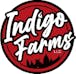 Indigo Farms