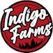 Indigo Farms