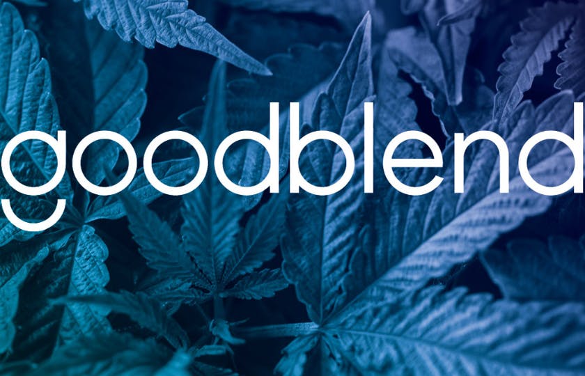 goodblend - Plano Delivery listing banner