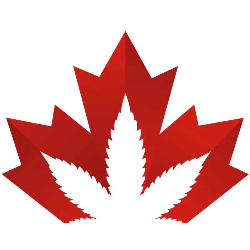 TEAM CANNABIS - Delivery