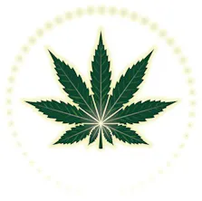 BudHub Cannabis - Delivery