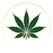 BudHub Cannabis - Delivery