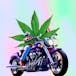 Weed On Wheels - Delivery