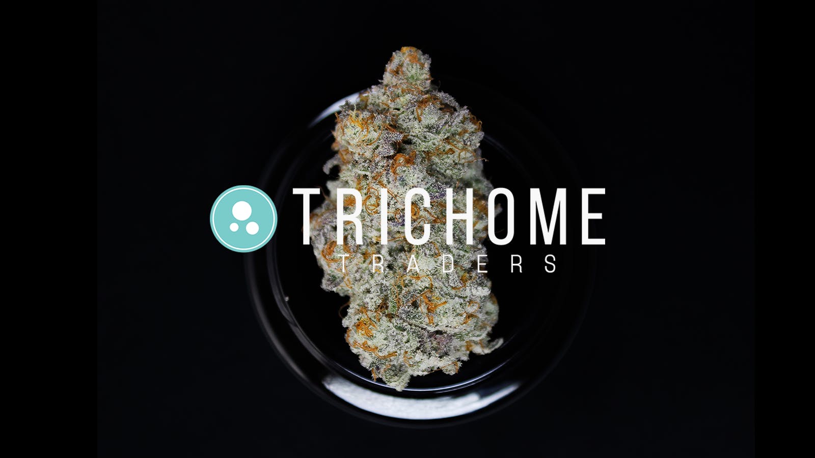 Trichome Traders - Delivery listing banner