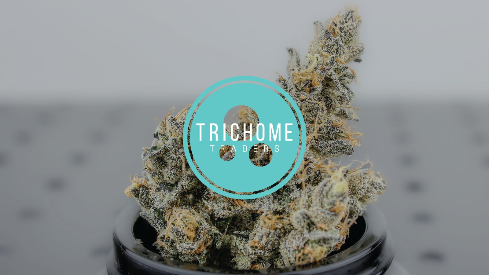 Trichome Traders - Delivery listing banner