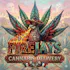 FireJays - Lake Forest