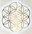 Flower of Life- Delivery