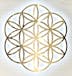 Flower of Life- Delivery