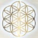 Flower of Life- Delivery