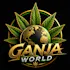 Ganja World - Presque Isle