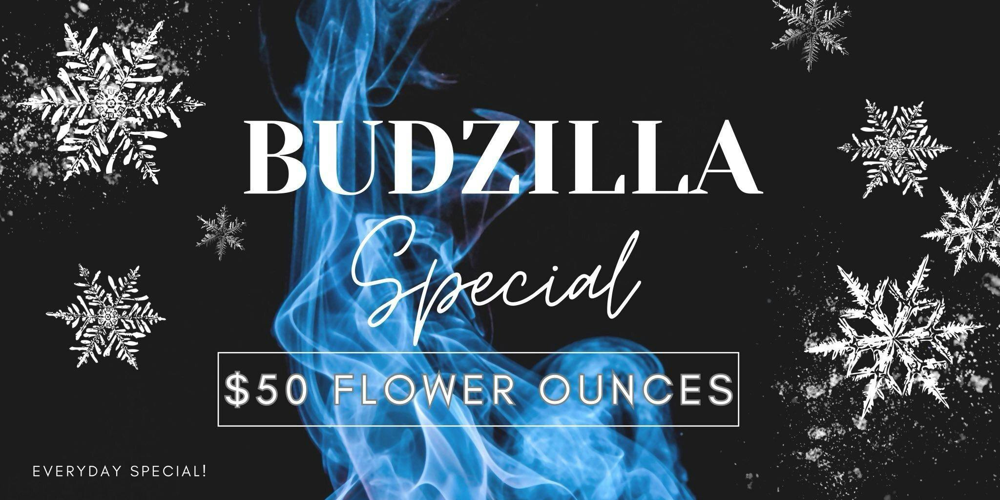 Budzilla - Oceanside listing banner