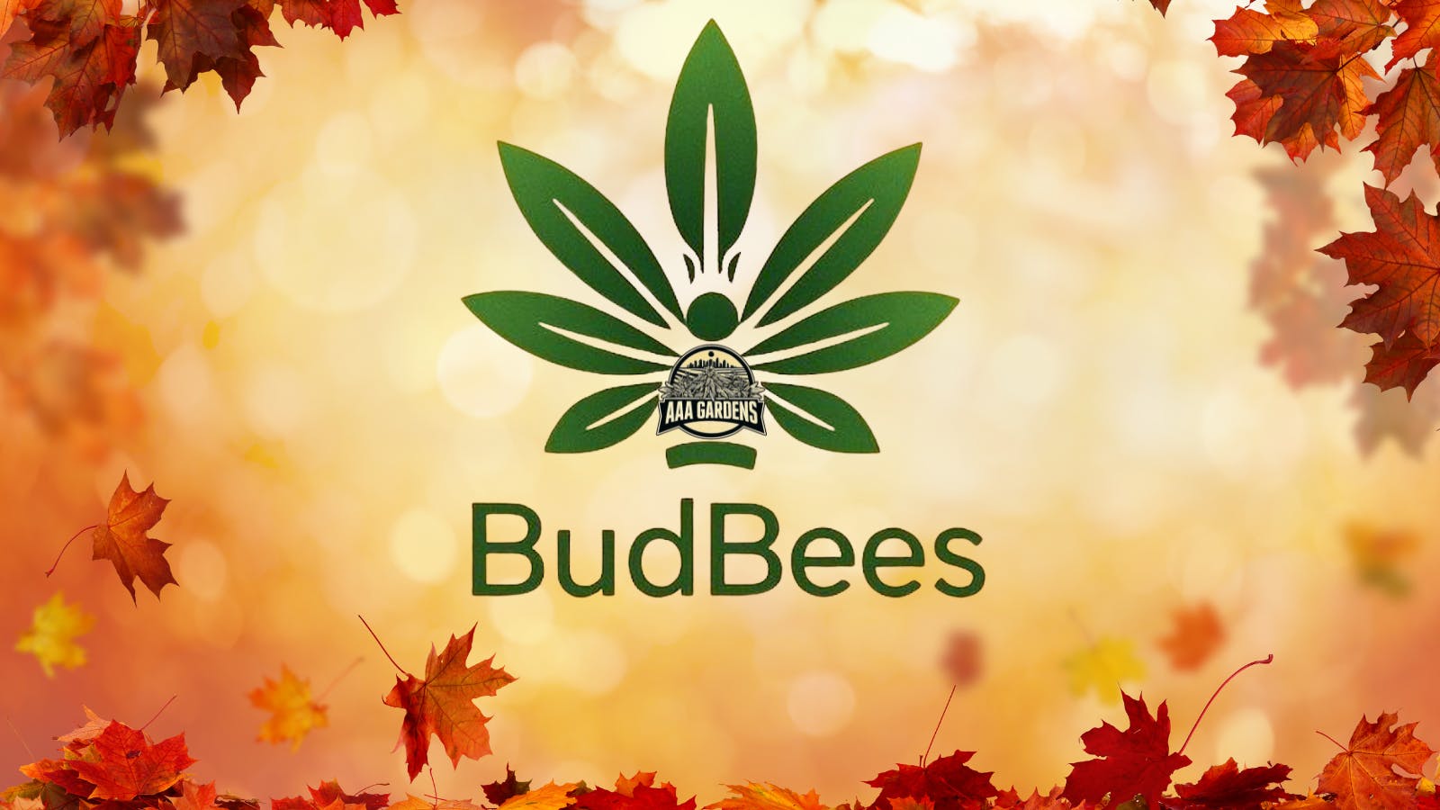 Bud Bees - Santa Clarita listing banner