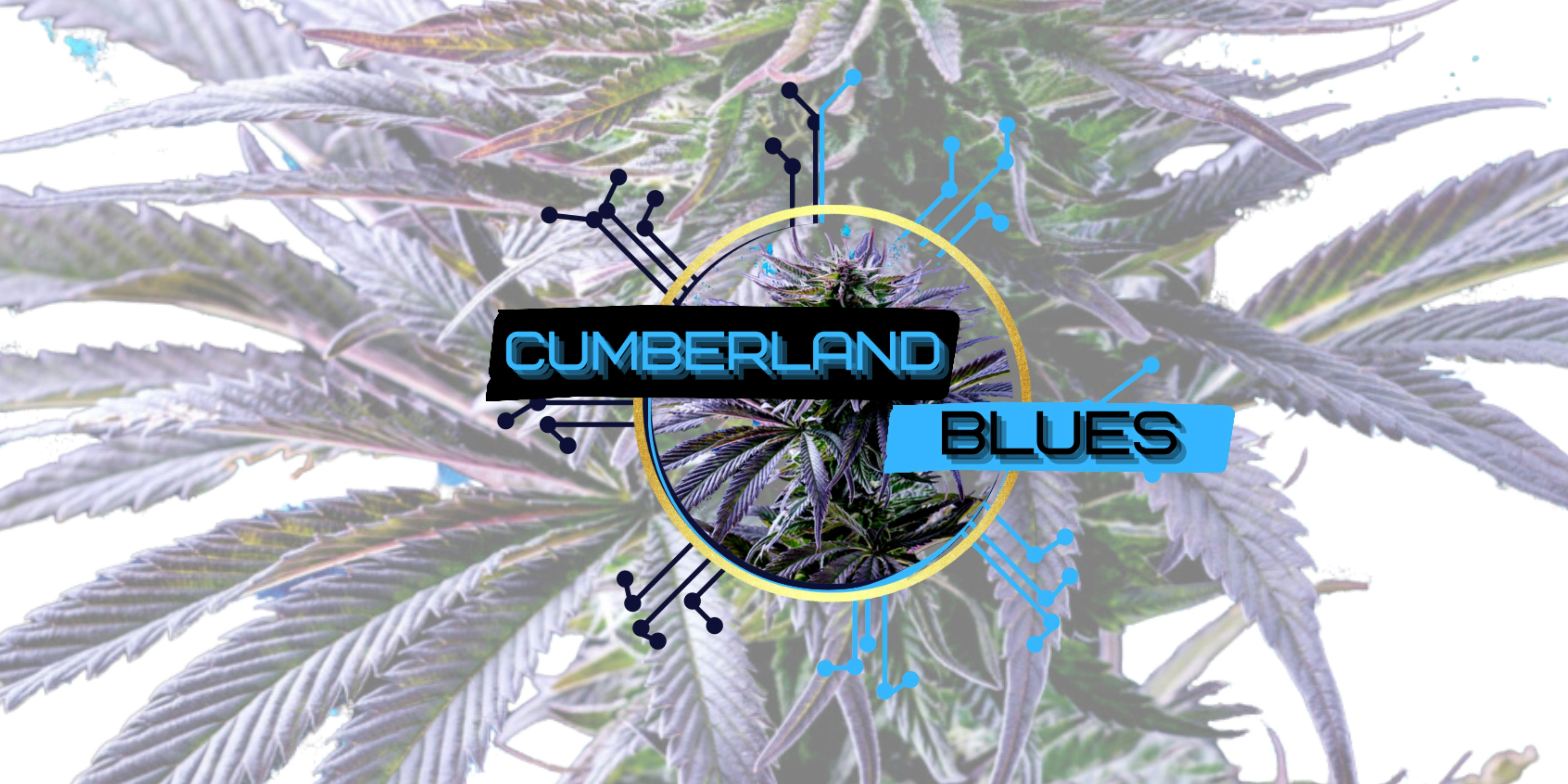 Cumberland Blues Delivery listing banner