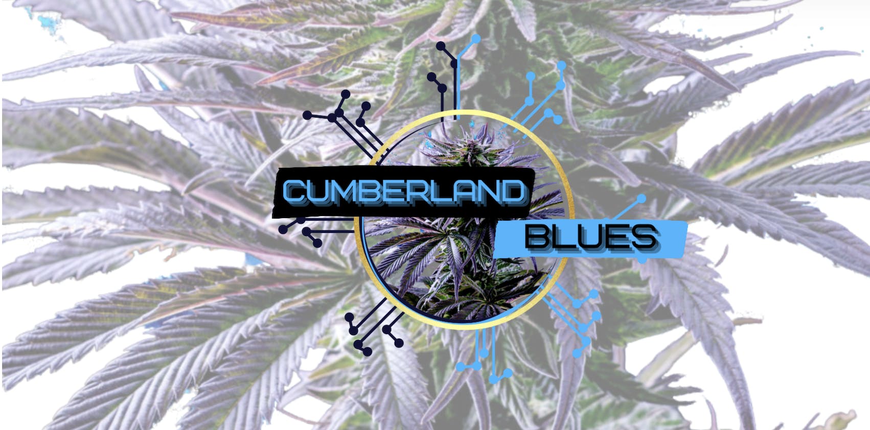 Cumberland Blues Delivery listing banner