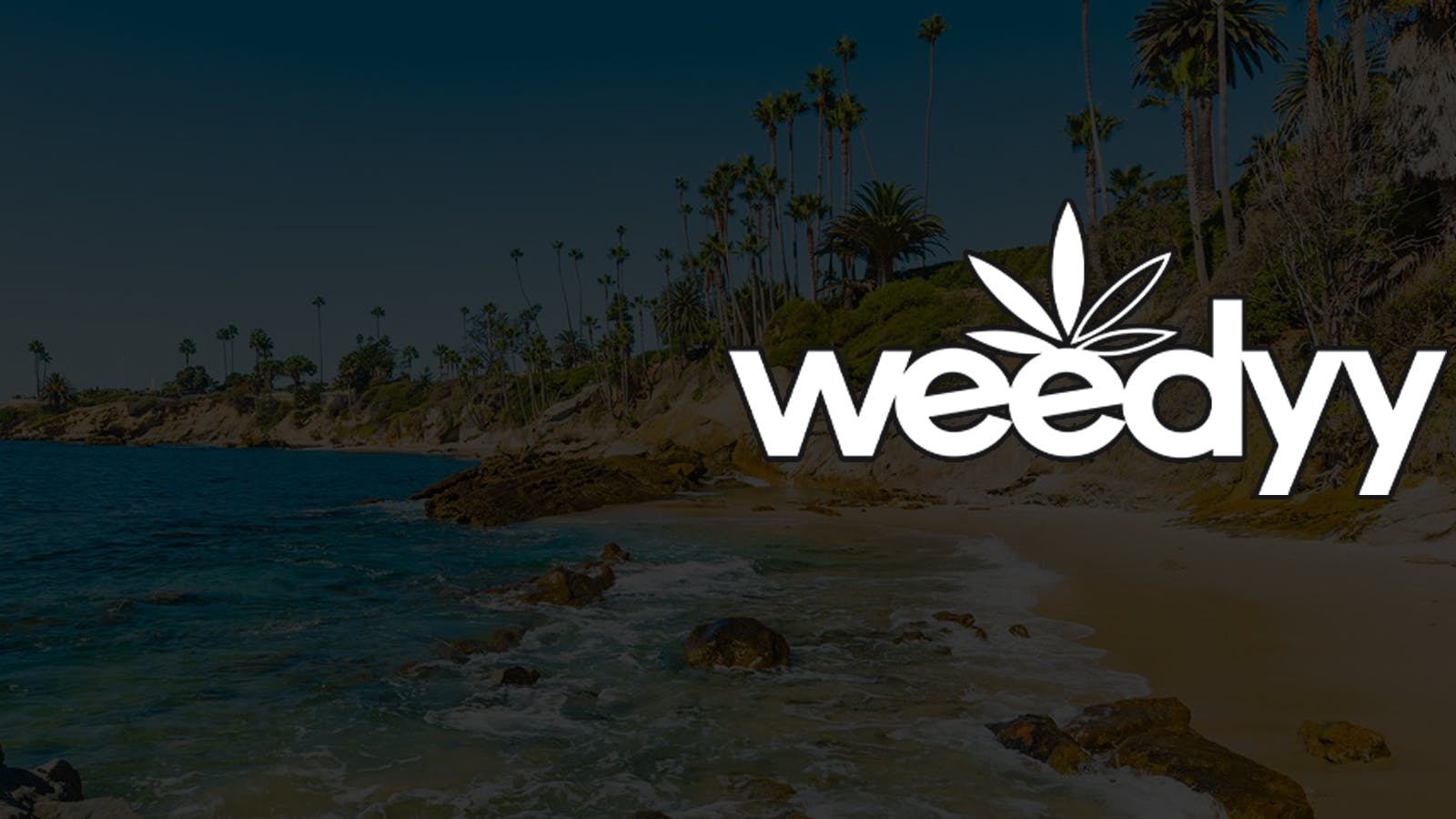 Weedyy - Aliso Viejo listing banner