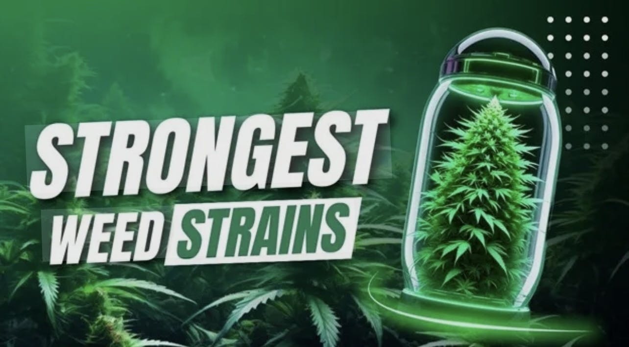 LACC - Menifee listing banner