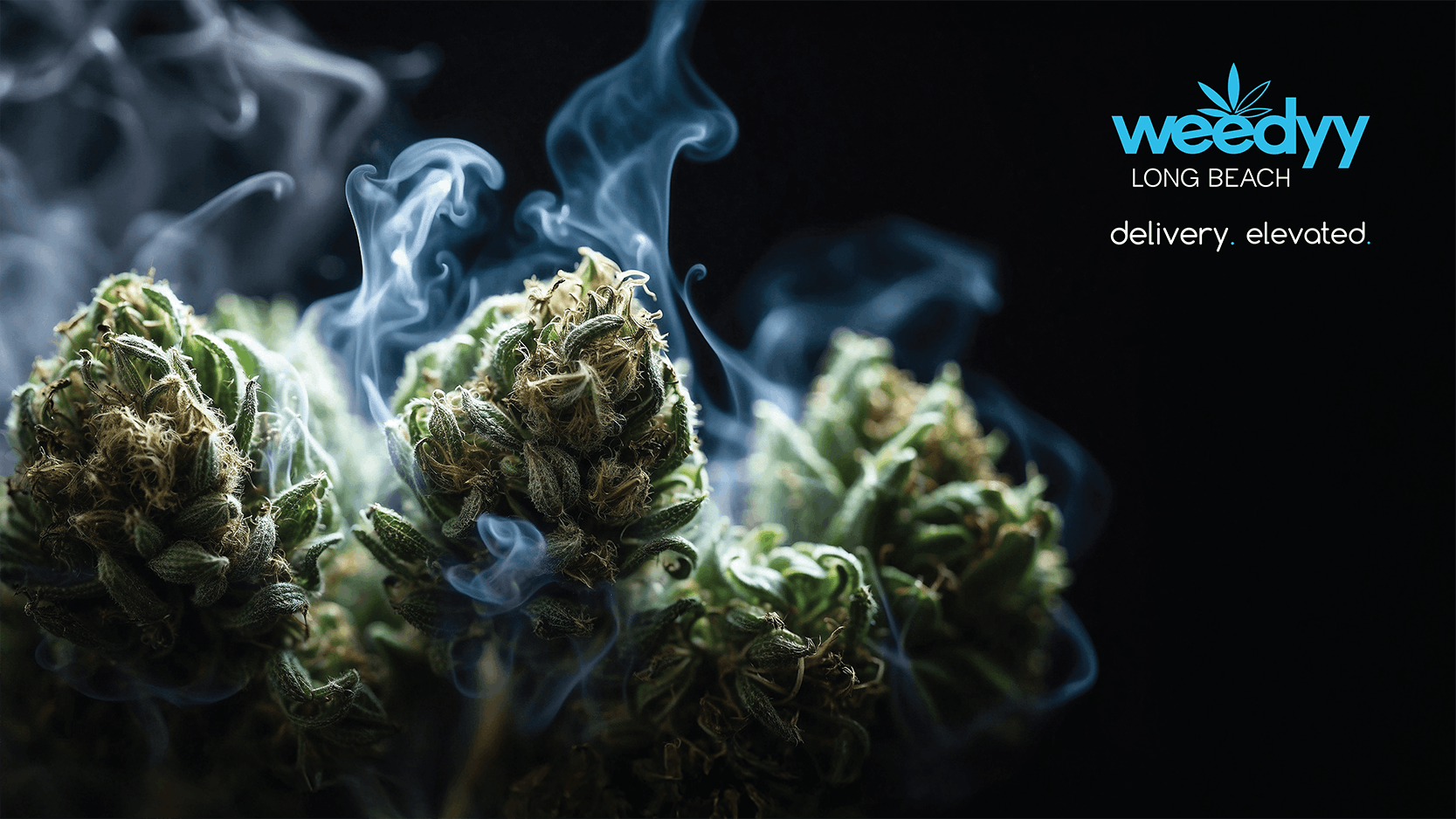 Weedyy listing banner