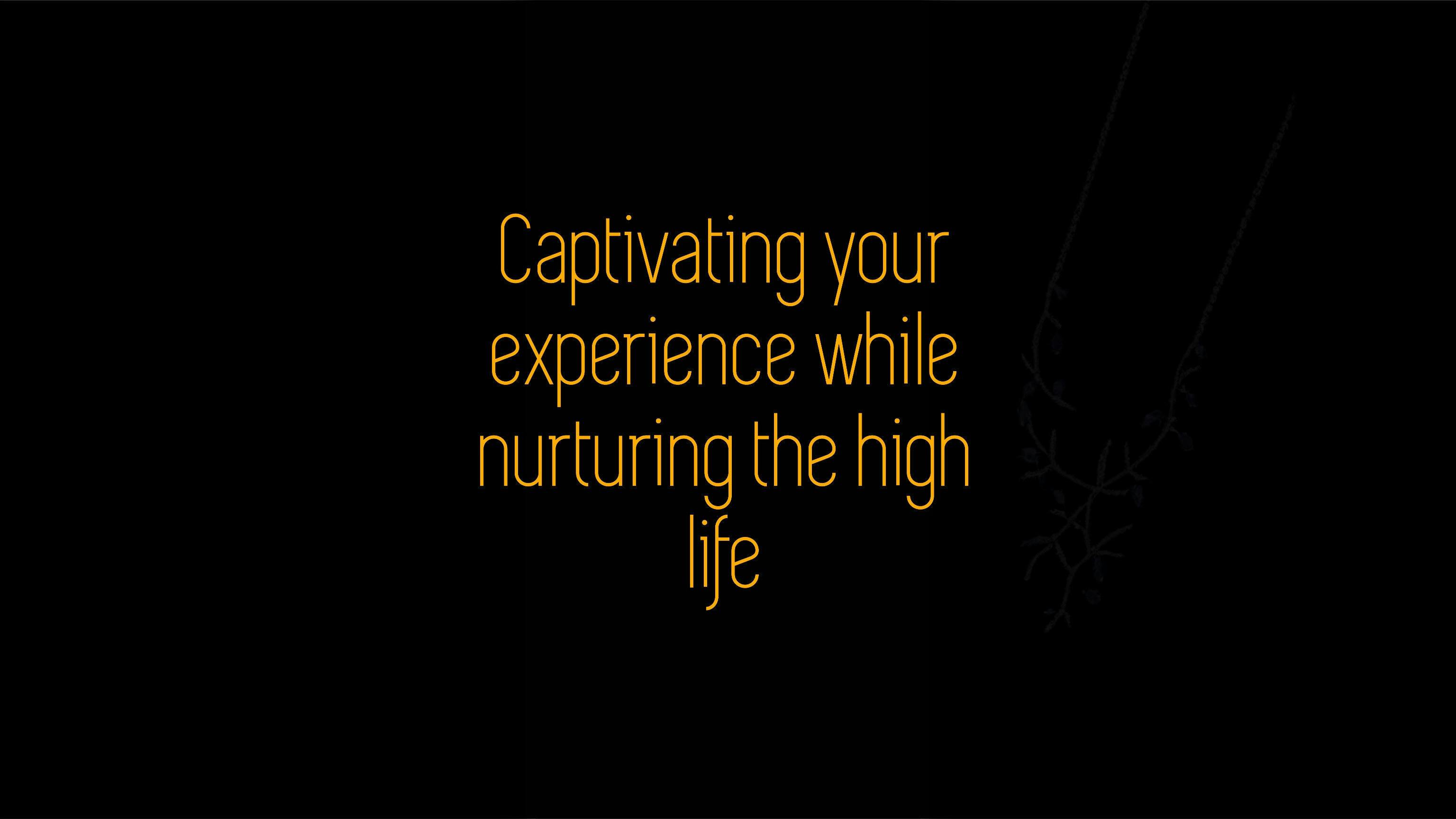 Prolific Roots listing banner