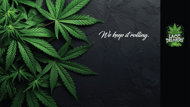 LACC - Lake Elsinore listing banner